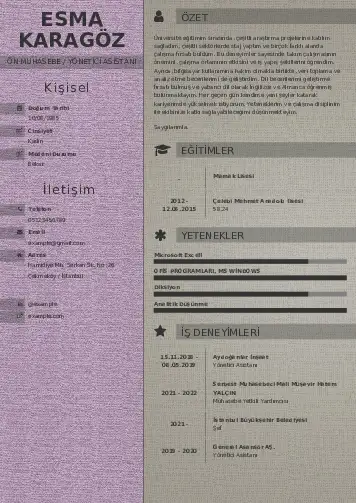 Yönetici Asistanı Cv Örnekleri cv indir